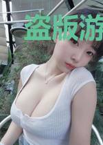 盗版游戏登录器