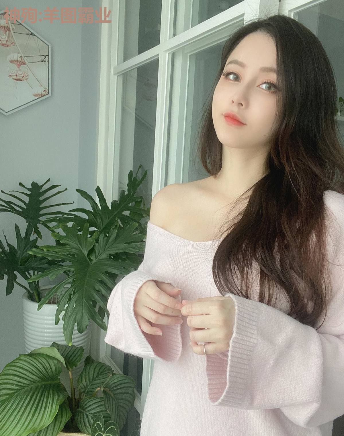 神殉:羊图霸业