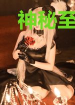 神秘至宝系统