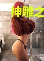 神雕之破碎之旅