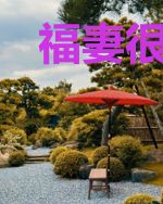 福妻很田:八零有姻缘