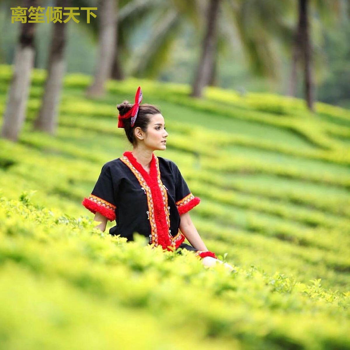 离笙倾天下
