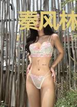 秦风林婉儿