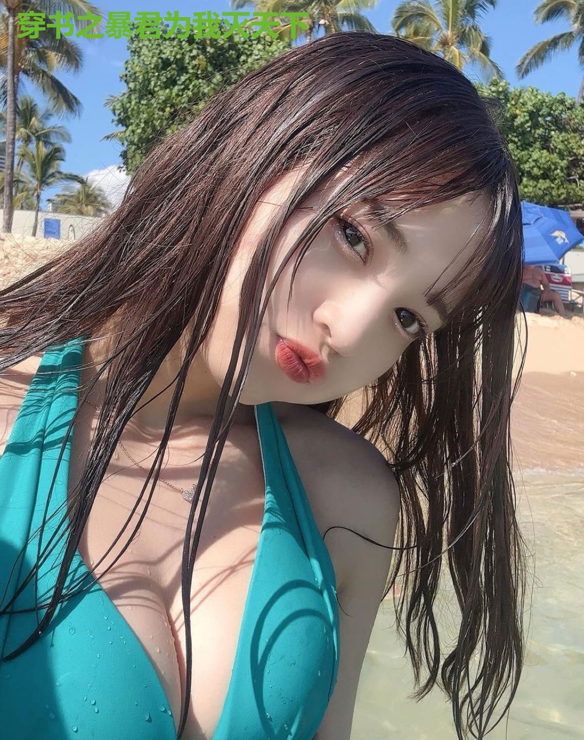 穿书之暴君为我灭天下