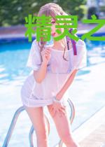 精灵之夜旅人