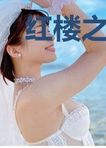 红楼之乱世奸雄