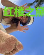 红楼之黛玉重生