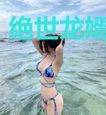绝世龙婿秦天枢