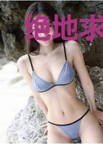 绝地求生：荣耀之巅