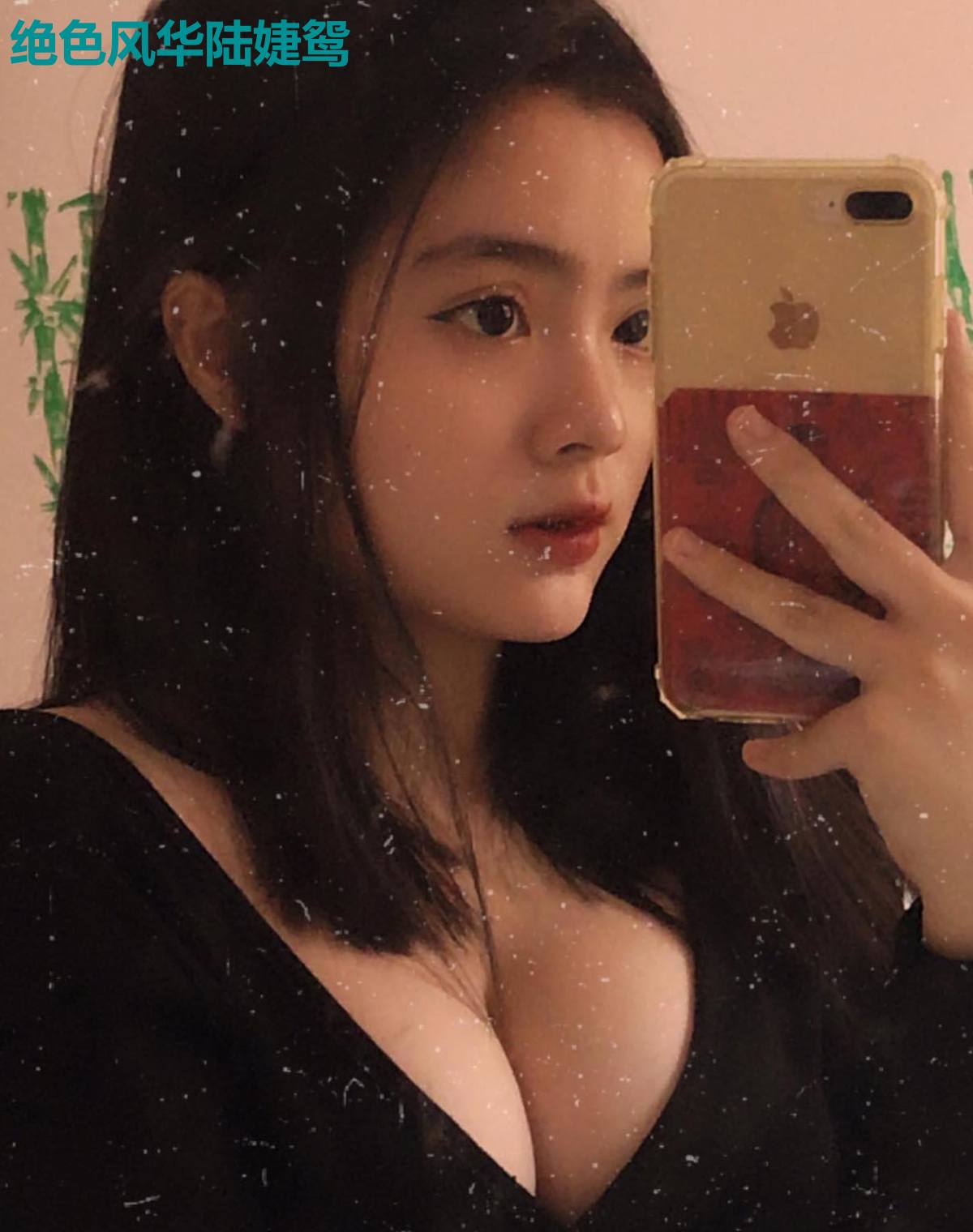绝色风华陆婕鸳