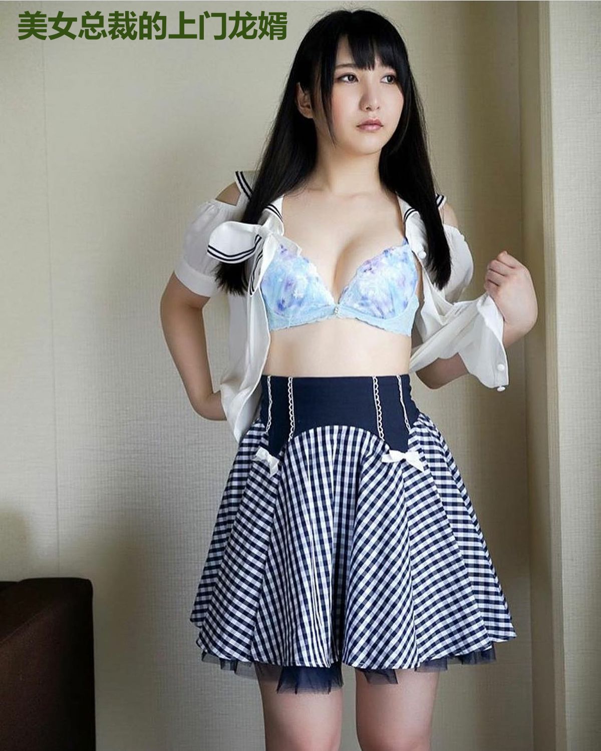 美女总裁的上门龙婿