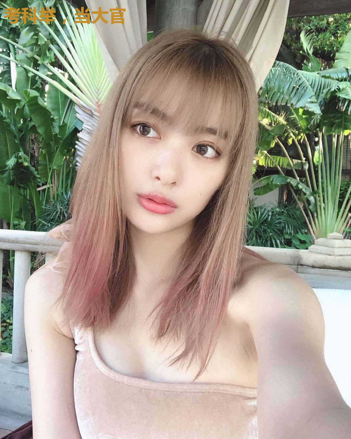 考科举,当大官