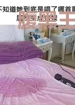 腹黑王妃世无双