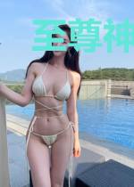 至尊神眼系统