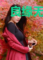 良缘无处逃叶子夏