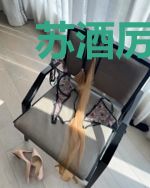 苏酒厉景御