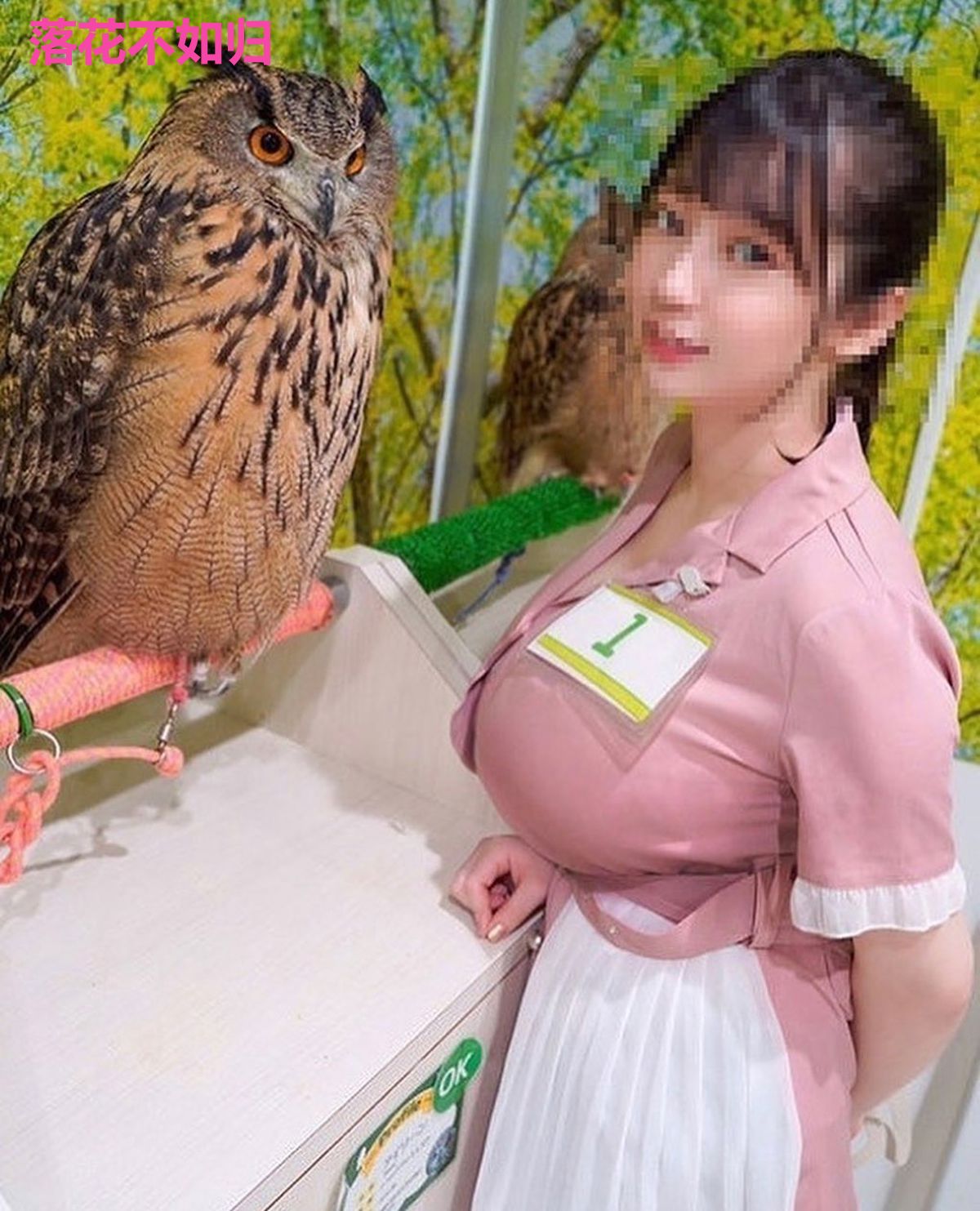 落花不如归