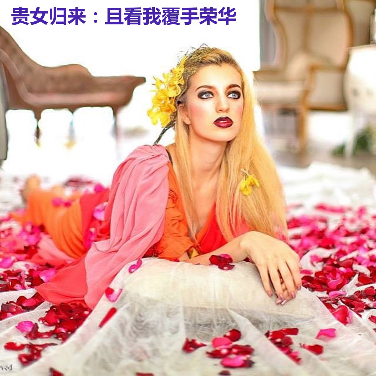 贵女归来:且看我覆手荣华