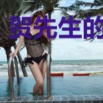 贺先生的小作妻