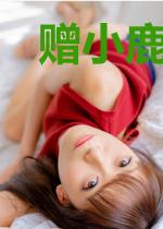 赠小鹿先生的诗章