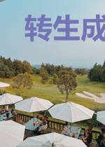 转生成为猫开局捡到魔王做老婆