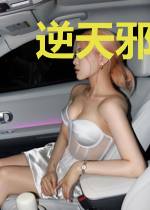 逆天邪医：兽黑王爷废材妃
