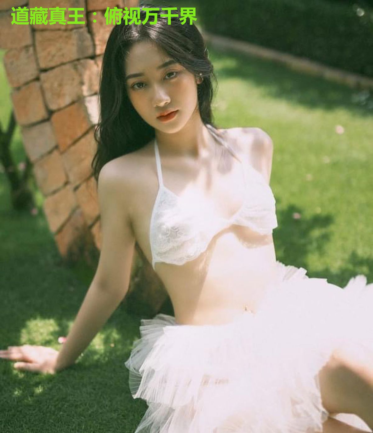 道藏真王:俯视万千界