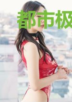 都市极品小保安