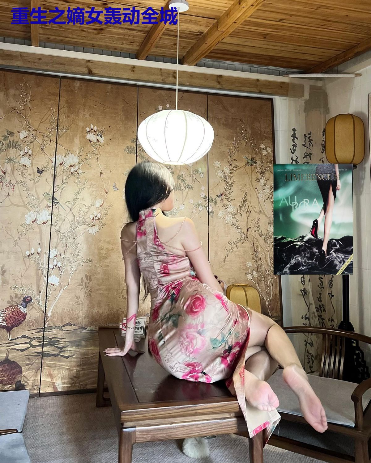重生之嫡女轰动全城