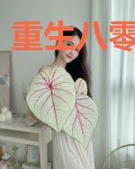 重生八零小厨娘