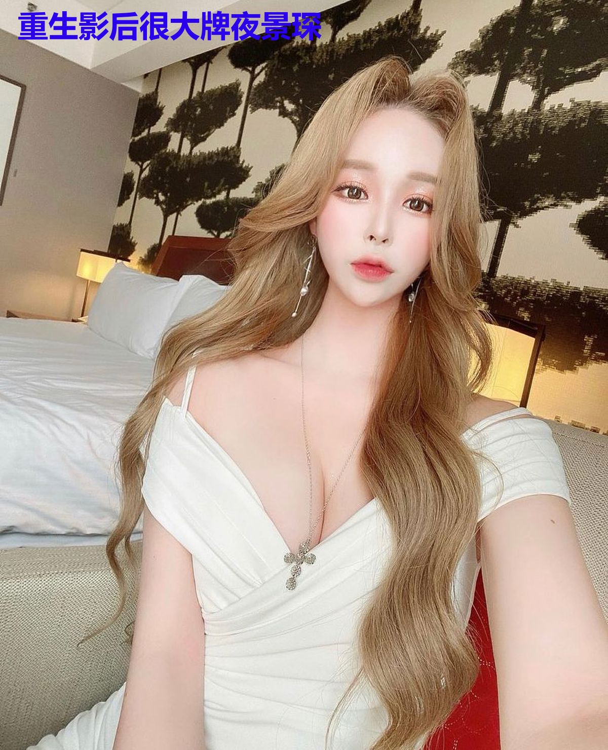 重生影后很大牌夜景琛