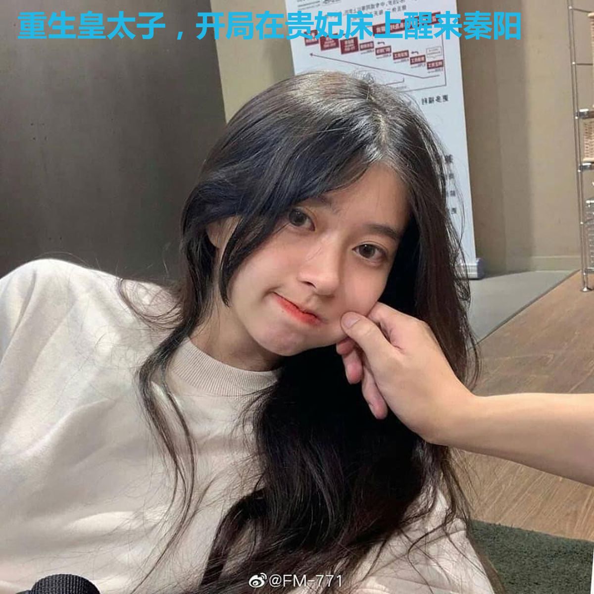 重生皇太子,开局在贵妃床上醒来秦阳