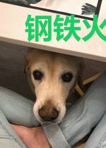 钢铁火药和施法者