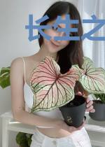 长生之最强赘婿