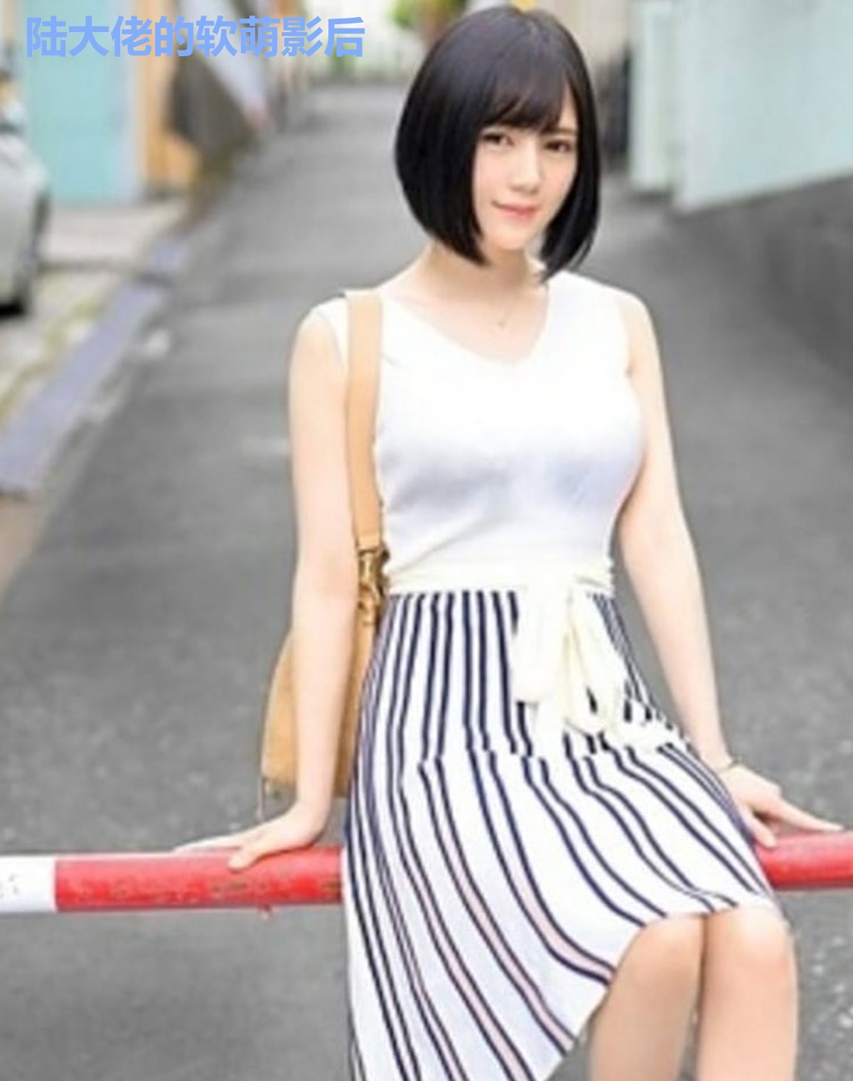 陆大佬的软萌影后