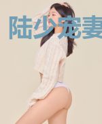 陆少宠妻有点甜