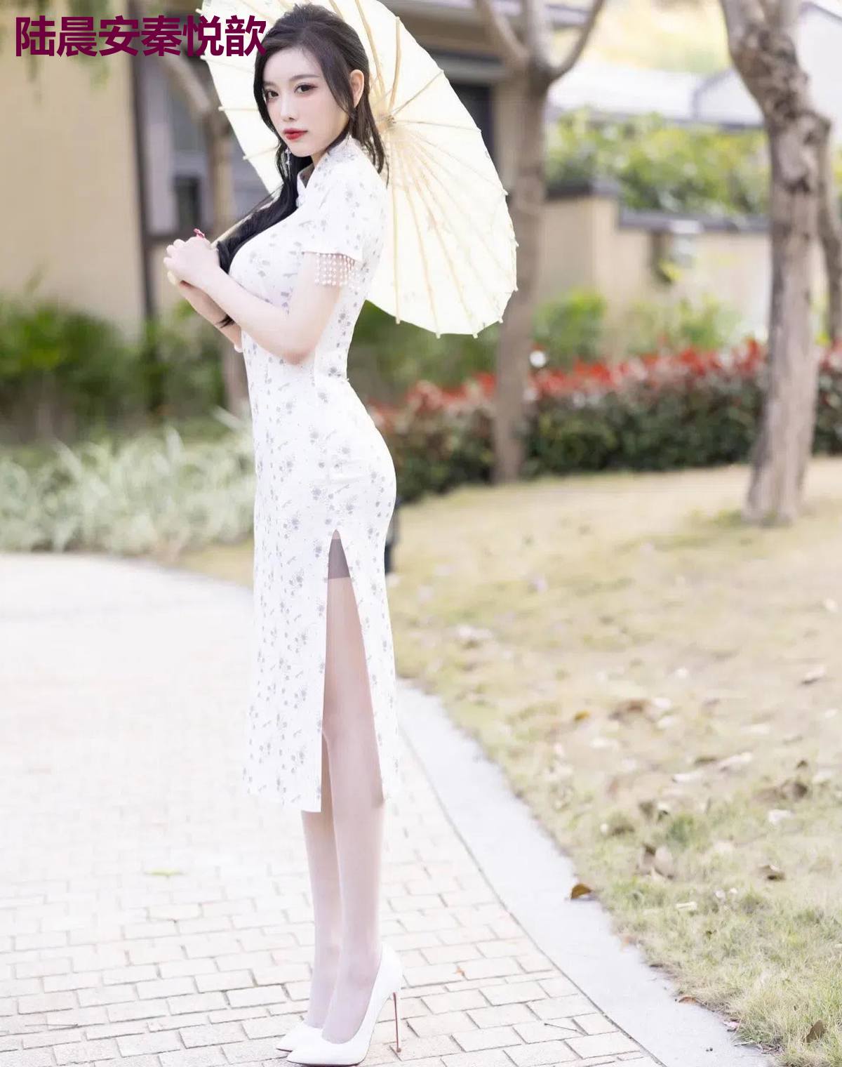陆晨安秦悦歆