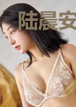 陆晨安秦悦歆