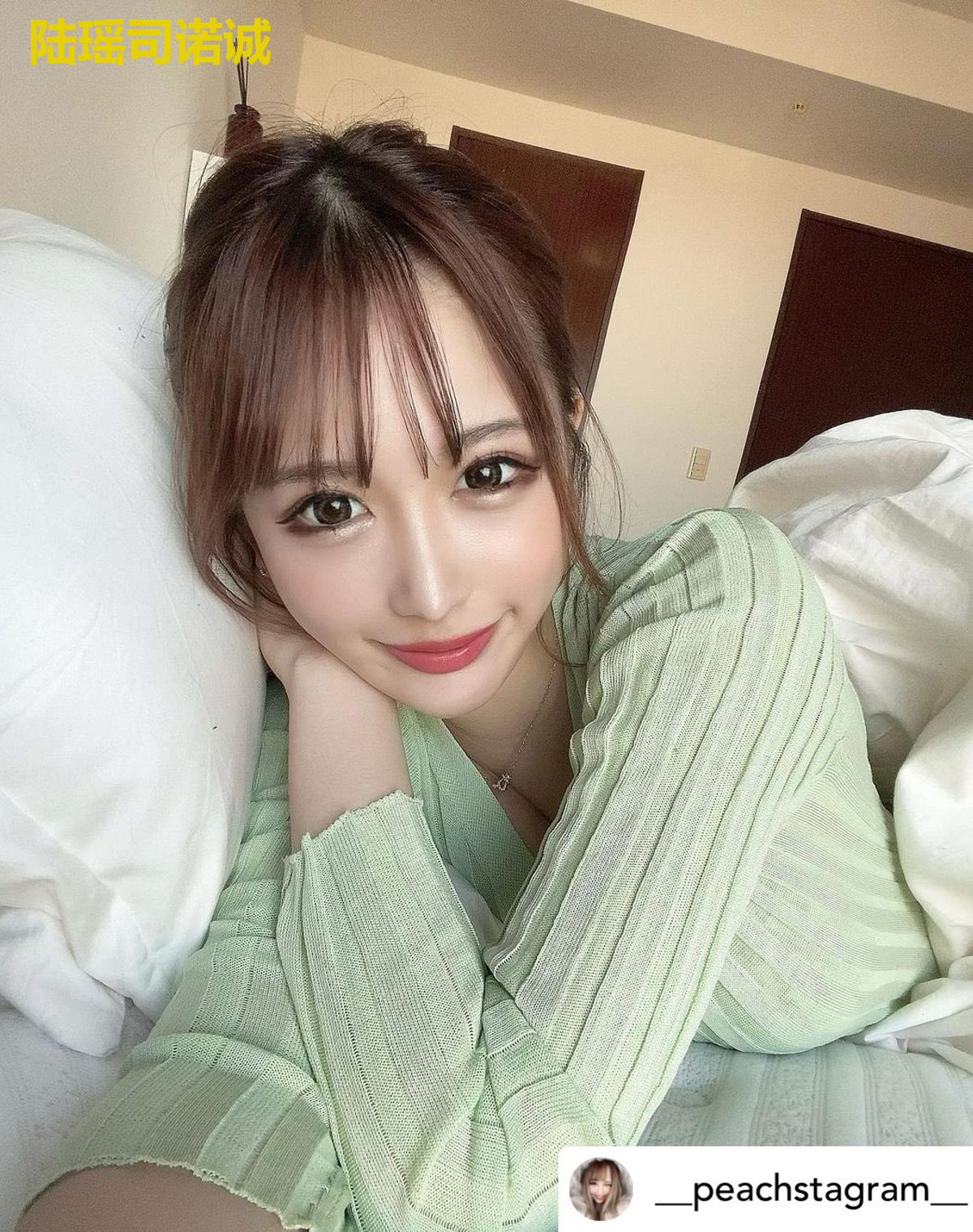 陆瑶司诺诚
