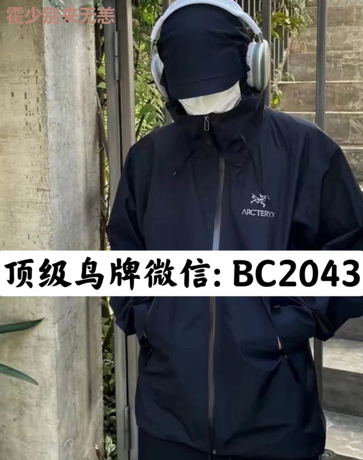 霍少别来无恙