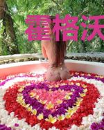 霍格沃茨之韦斯莱是我们的王