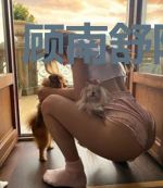 顾南舒陆景琛