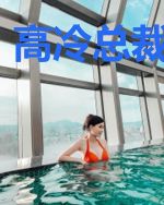 高冷总裁俏冤家