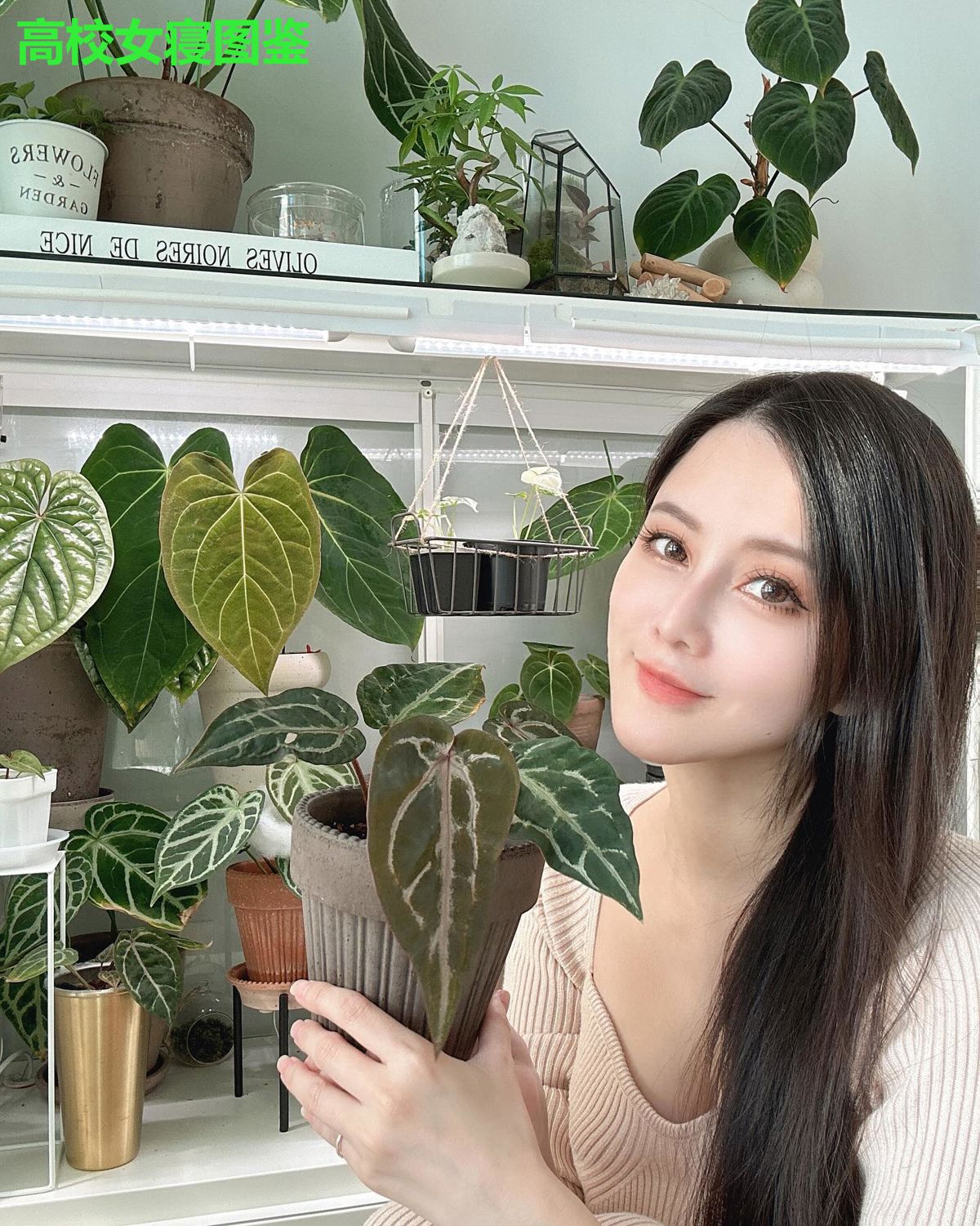 高校女寝图鉴