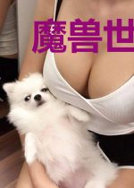魔兽世界里的武术家
