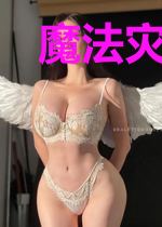 魔法灾害保险指南