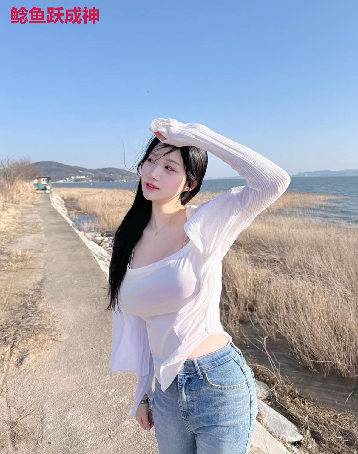 鲶鱼跃成神